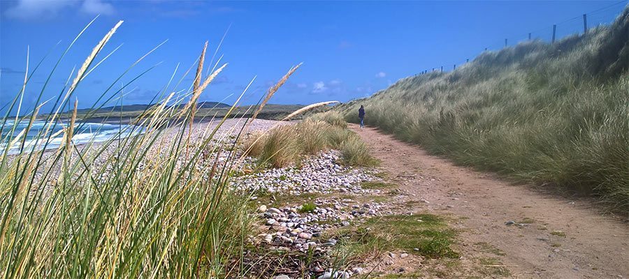 Sand dunes in bright sunshine