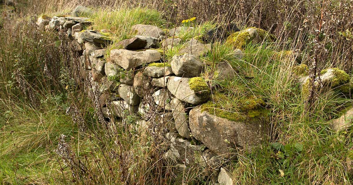 A derelict dry stone wall in Donegal, Ireland