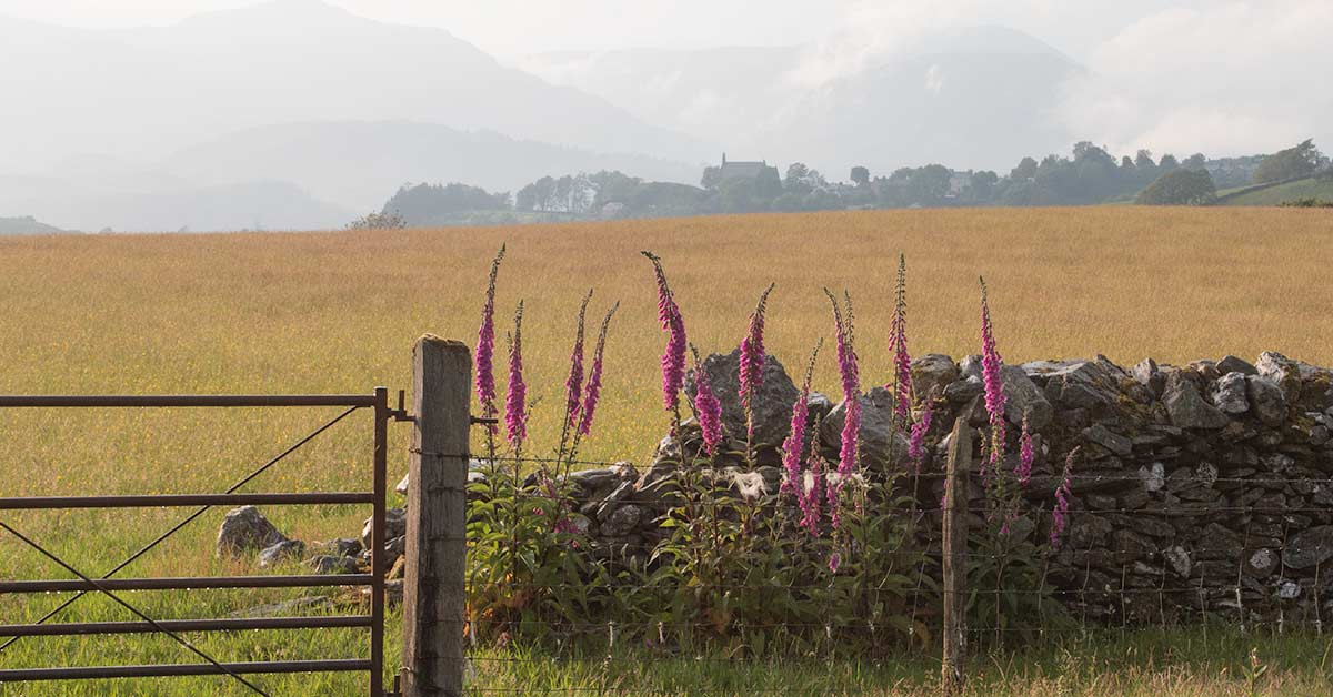 Old dry stone wall near Llan Ffestiniog, Gwynedd