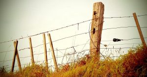 A post and wire fence in need of repair