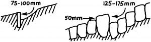 Keep cut-off heights to a minimum