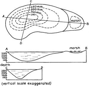 Scale plan of pond