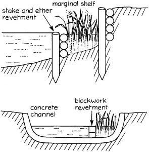 Establishing marginal vegetation