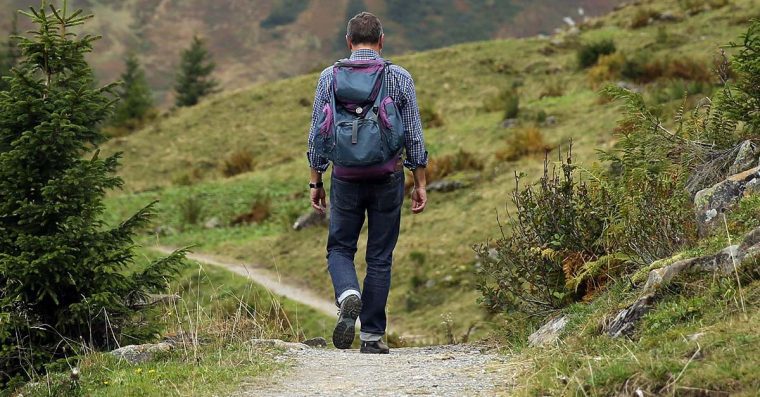 Man walking on a rural path