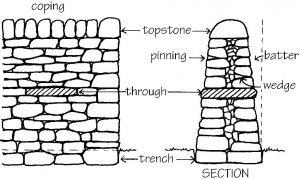 Front and section view of a typical dry stone wall