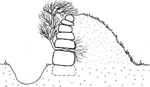 A hedged ditch common in Ireland