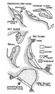 Different dune formations