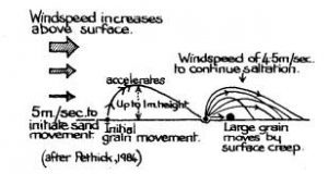 Wind speed and surface creep