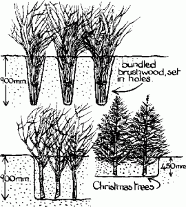 Brushwood fencing