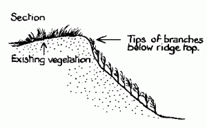 Section through thatching a slope