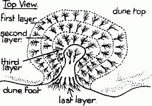 Thatching a conical blowout