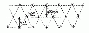 Plant spacings
