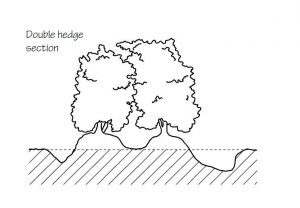 Double hedge section