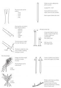 Hedge laying terms explained