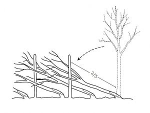 Stake positioning