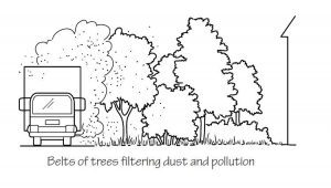 Belts of trees filtering dust and pollution