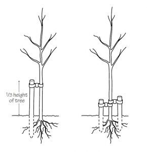 Staking methods