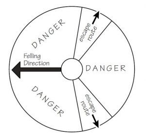 Escape routes