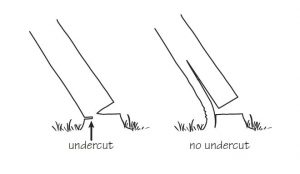 Undercut larger trees