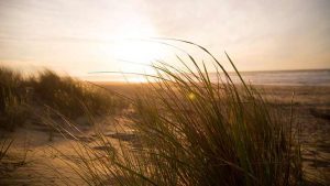 Sand dunes at sunset