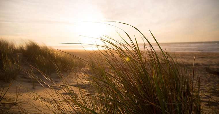 Sand dunes at sunset