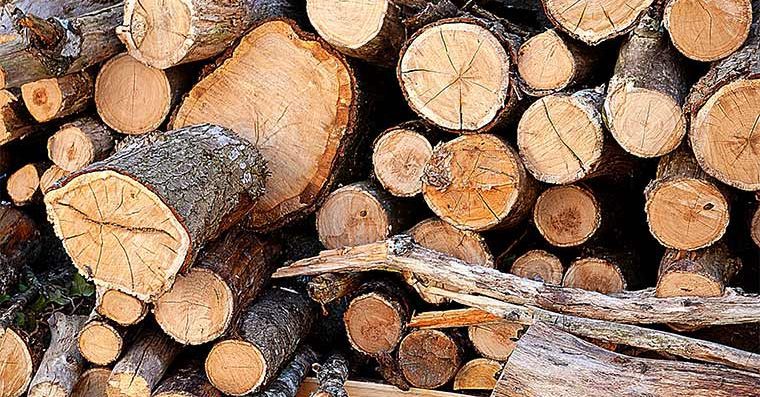 A stack of cut wood
