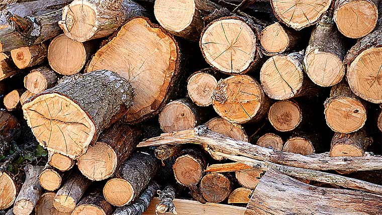 A stack of cut wood
