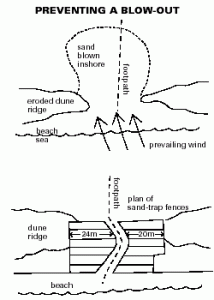 Preventing sand dune 'blow-outs' by using sand traps