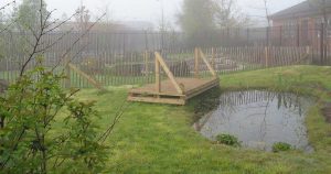 A new pond in an urban setting