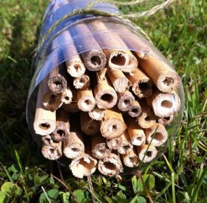 A simple bug hotel