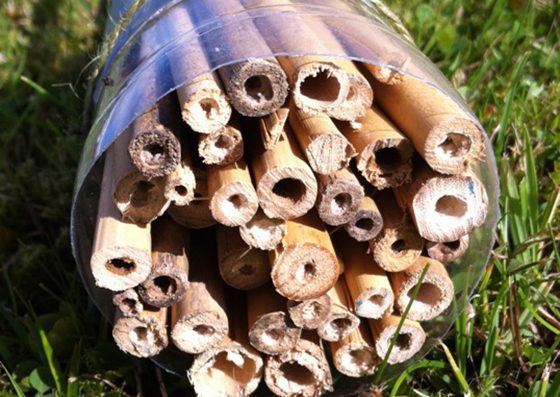 A simple bug hotel