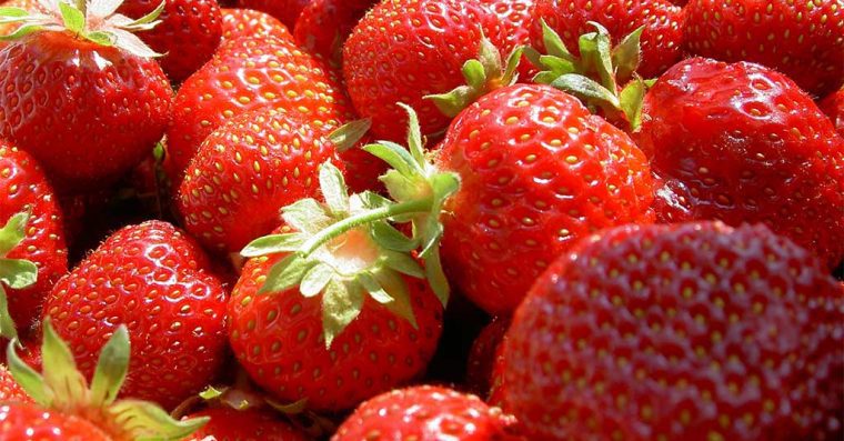 Ripe strawberries