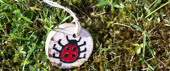A tree cookie