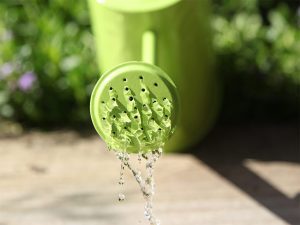 A watering can