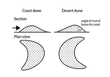 coast-desert-dune-comparison Coastal and desert sand dunes