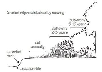 cutting Woodland cutting regime